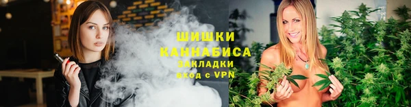 прущие грибы Семикаракорск