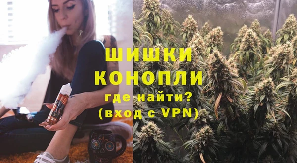 мдпв Семёнов