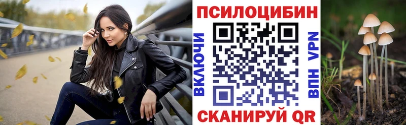 Галлюциногенные грибы MAGIC MUSHROOMS  как найти закладки  omg ONION  Киреевск 