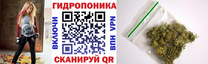 Шишки марихуана гибрид кракен зеркало Киреевск цены